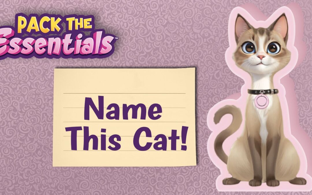 Meet the Cats from Pack The Essentials & Name the Cat Contest!😻